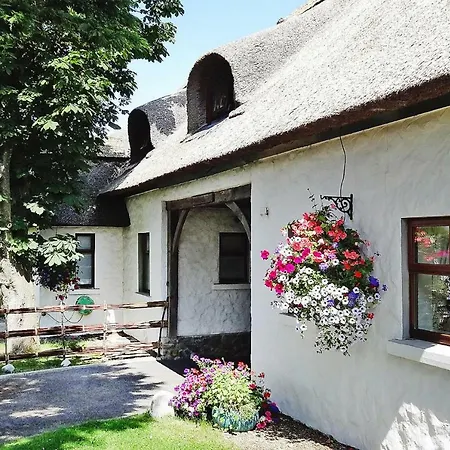 Holiday Homes Bettystown Eir04046 Fyg
